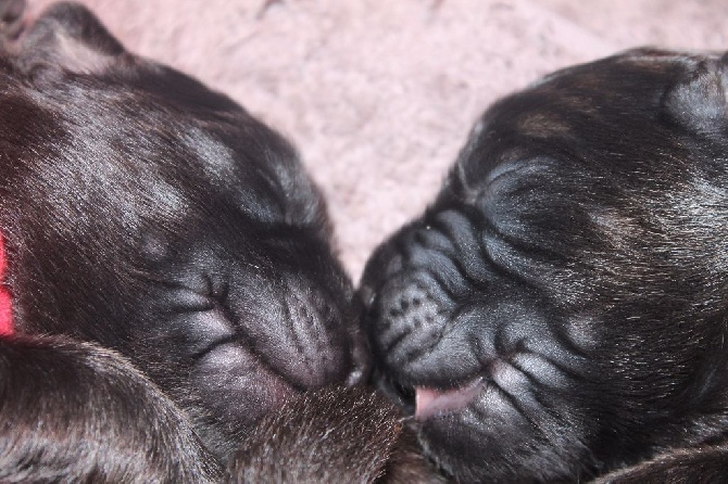 Des Amours De Camafa - les bébés grandissent bien